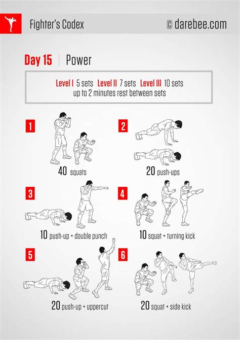 Fighters Codex By Darebee Calisthenics Fun Workouts Boxing Workout