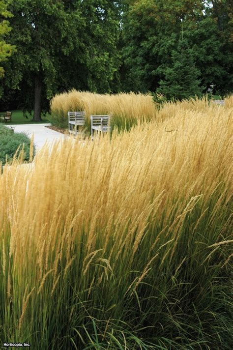 Find local landscapers in minutes. 5th and state: Garden Trends 2016