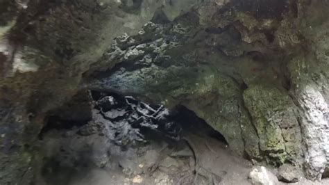 Dames Cave At Withlacoochee State Forest State Forest Forest Citrus