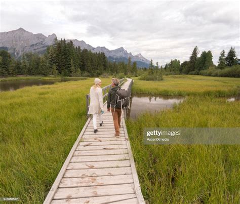 Couple Walk Along Boardwalk Over Marsh High Res Stock Photo Getty Images