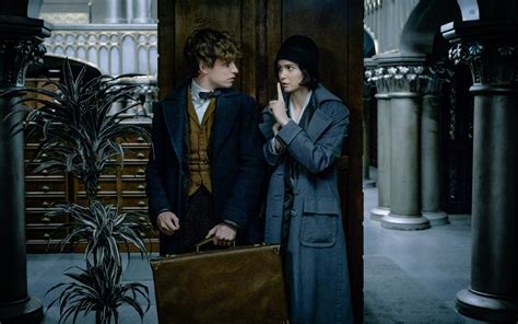 Who Is Leta Lestrange The Mysterious Absent Character In Fantastic