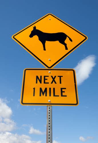 Donkey Crossing Sign Stock Photo Download Image Now Istock
