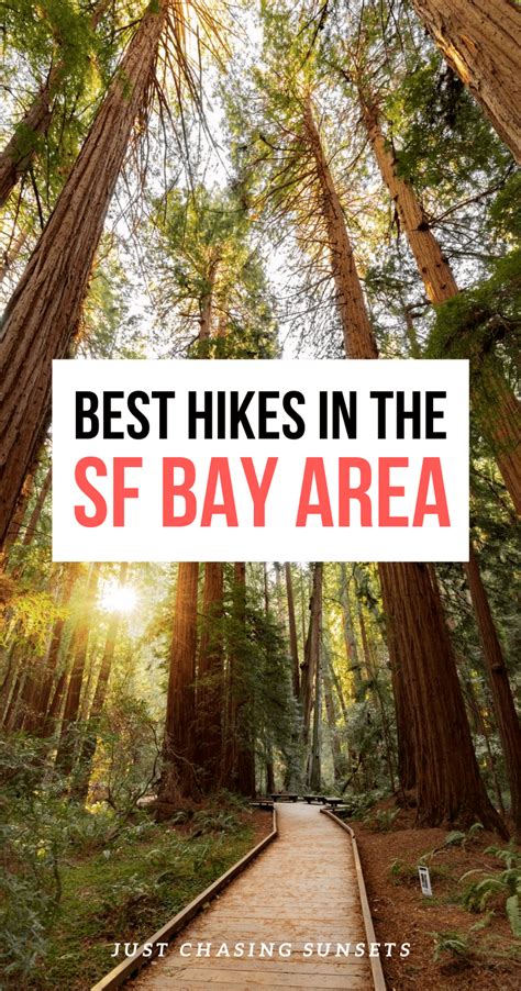 Stunning San Francisco Bay Area Hikes To Add To Your Northern