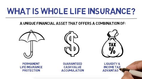 Whole Life Insurance For Adults Whole Life Insurance Oplev 20