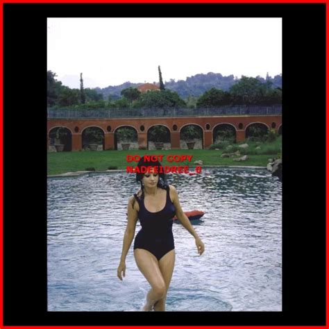 Sophia Loren Legendary Actress And Sex Symbol 8x10 Publicity Photo Cc376 Eur 957 Picclick De