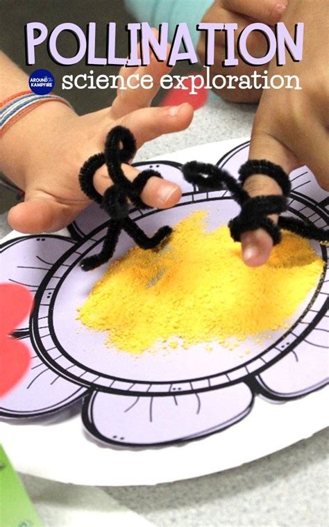 Cheese Powder Pollination Activity For Kids Science Activities For