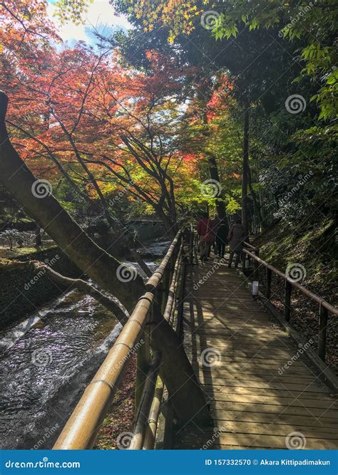 Beautiful Scene Of Wooden Bridge With Colorful Maple Trees And Small