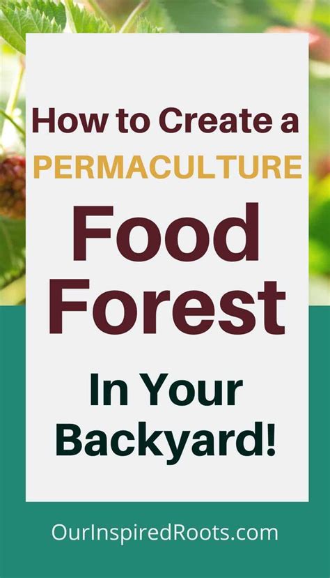 How To Create A Permaculture Food Forest Or Forest Garden Food Forest