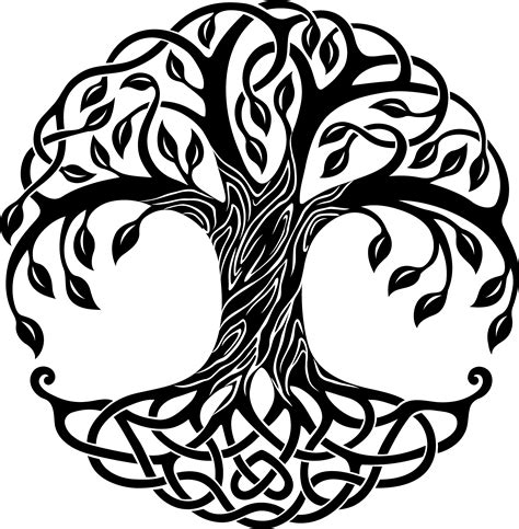 Celtic Tree Of Life Png Tree Of Life Drawing Tree Art Symmetry