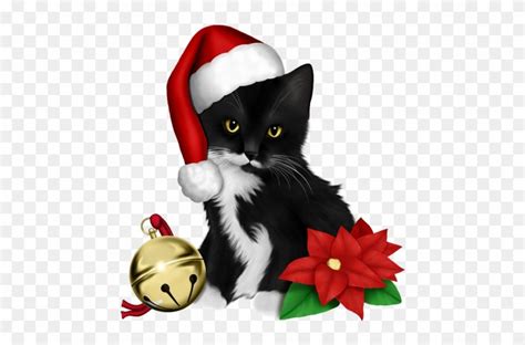 Christmas And New Year Christmas Cats Merry Christmas Clipart