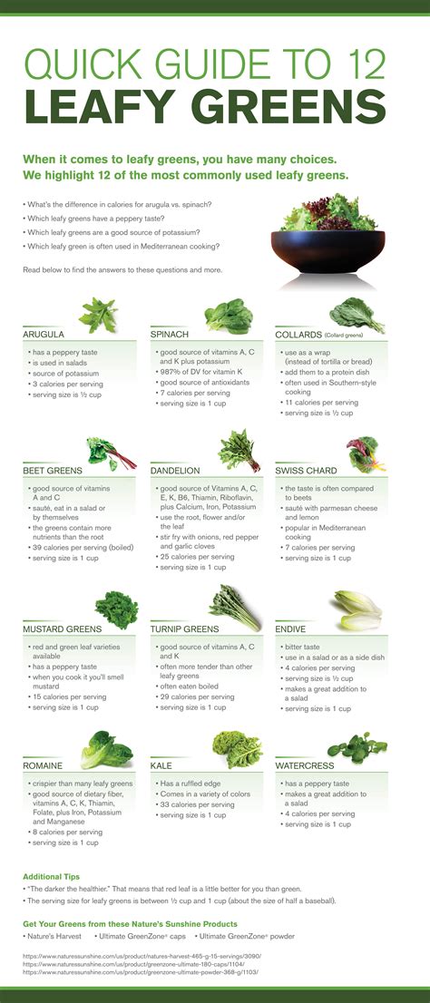 12 Leafy Greens A Quick Guide Leafy Greens Recipes Leafy Greens
