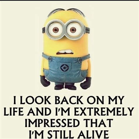 45 Funny Quotes Laughing So Hard And Hilarious Memes 28 Minion Photos