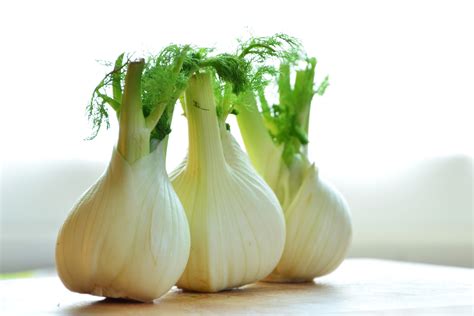 Here is a guide for helping with that. Fennel for Dogs by The Canine Nutritionist | The Canine ...