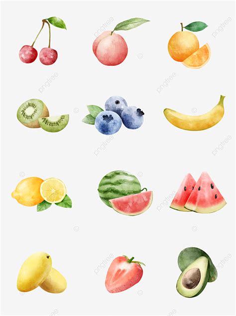 Fruta Acuarela Varios Colores De Frutas PNG Fruta Acuarela Día De