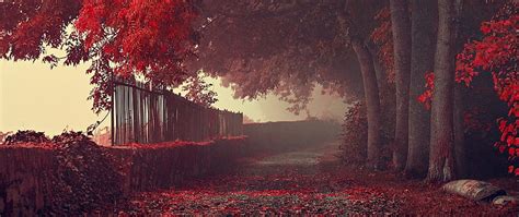 5120x1440px Free Download Hd Wallpaper Red Trees Ultra Wide