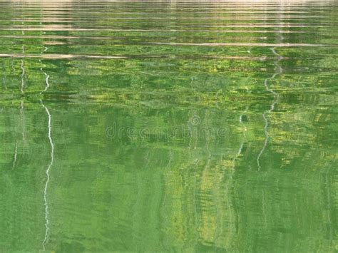 Green Water Abstraction Stock Photo Image Of Vegetation 58762118