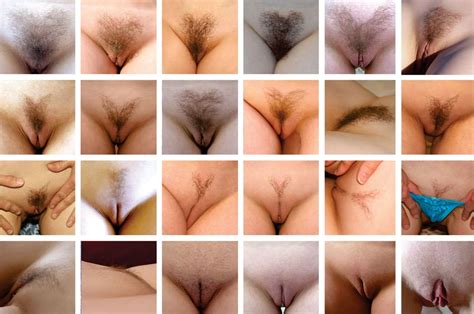 Five Types Of Vagina Telegraph