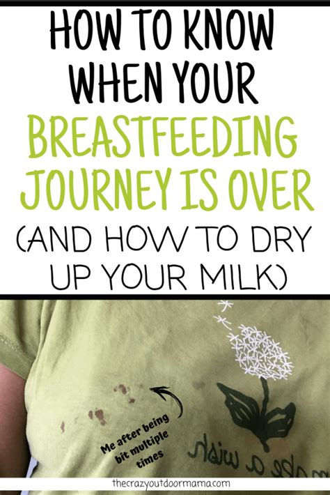 15 How Can I Make My Breast Milk Come Out Faster Ideas Help Your