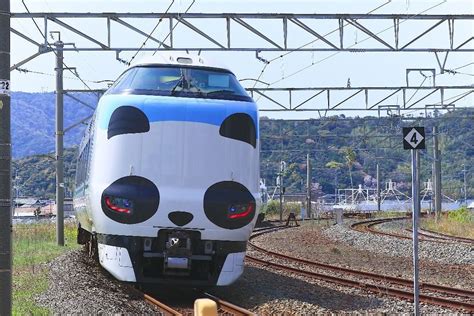 🐼 パンダくろしお号jr287 Panda Face Express Train Kuroshio 34 🚆 Japan Jr Panda