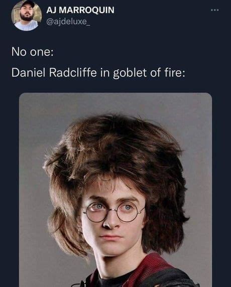 harry potter 15 memes that sum up the goblet of fire