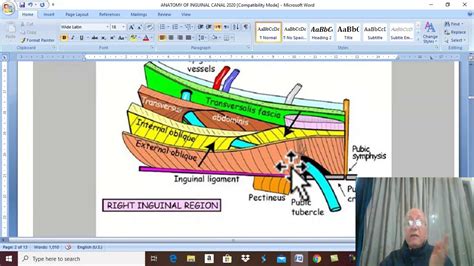 Mechanics of inguinal canal • the presence of inguinal canal in the lower part of the anterior abdominal wall in both. Anatomy GIT module 2020 ( Inguinal canal , part 1) , by Dr ...