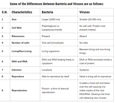 Differences Between Bacteria And Viruses Study Group