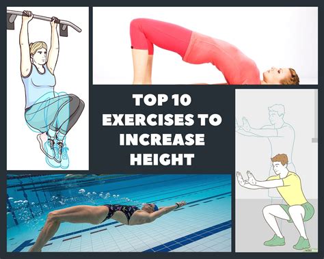 Top Exercises To Increase Height Baggout