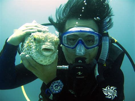 Ian And The Blowfish Puffer Fish Also Known As Blowfish Mak Flickr