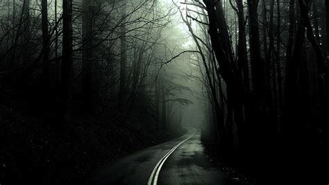 Hd Wallpaper Forest Fog Roads 1366x768 Nature Forests Hd Art