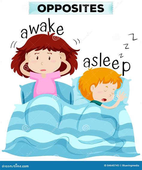 Opposite Words For Awake And Asleep Stock Illustration Illustration