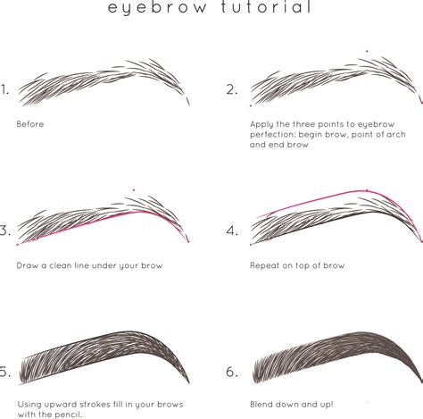 Brow Tutorial Beauty Collective