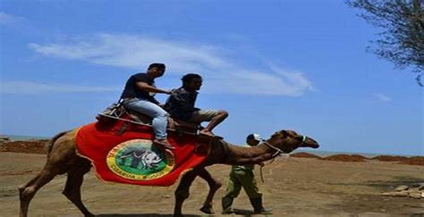 Anda ingin berlibur ke pantai sigandu? Htm Pantal Sigandu Batang : Pemkab Batang Dorong Pemilik Warung Di Pantai Sigandu Ajukan - gestao-ga