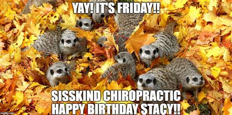 Wish the stacys of the world an epic happy birthday by sending them. Image tagged in yay it's friday - Imgflip