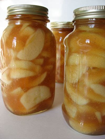 Add salt and water and mix well. Canned Apple Pie Filling | AZ Blue Ribbon Pie Round-Up