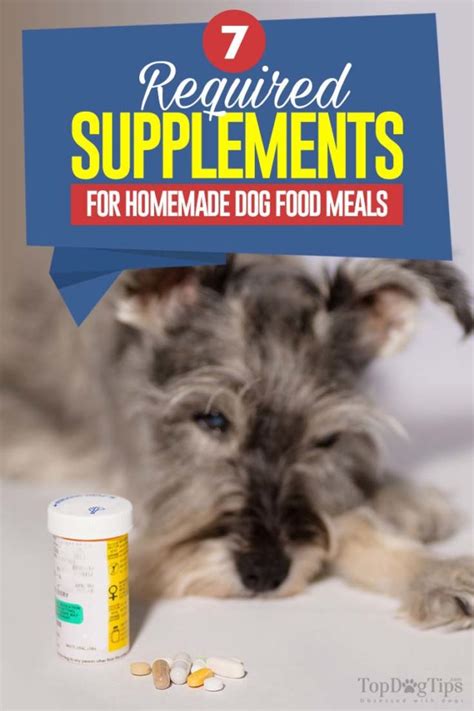 7 Essential Homemade Dog Food Supplements Top Dog Tips