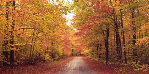 Beautiful Autumn Wallpapers The Wow Style