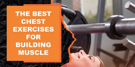 The Best Chest Exercises For Building Muscle Magma Fitness