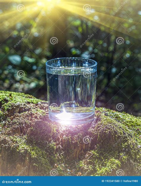 Glass Of Clean Fresh Water On Tree Stump With Moss Against Green