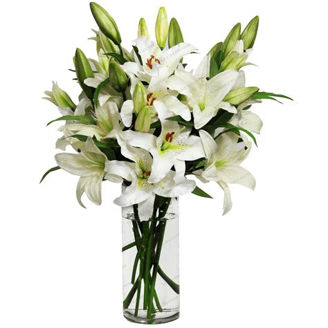 Lilies In A Vase Transparent Png Stickpng