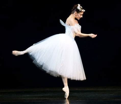 Pin By Sherry Petcosky On Alina Cojocaru Ballet Beautiful Ballet