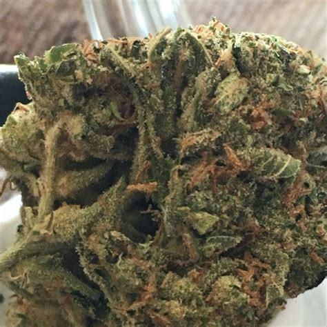 Stardawg Aka Stardog Weed Strain Information Leafly