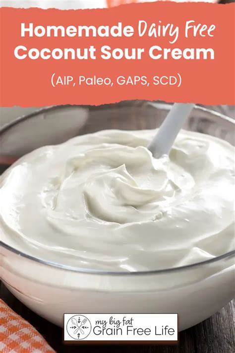 Dairy Free Coconut Sour Cream AIP Paleo GAPS SCD