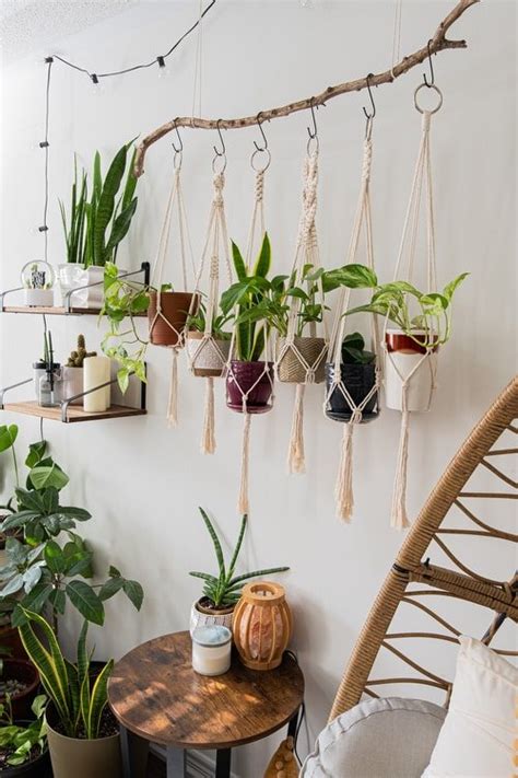Hanging Plants From Ceiling Ideas Shelly Lighting