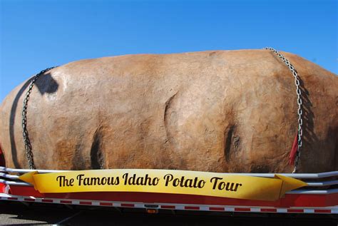The Carpetbagger: The World's Largest Potato