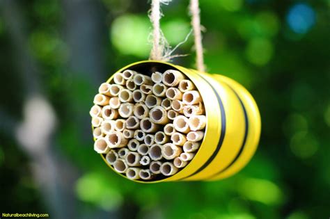Mason bees are a favorite among orchard owners because of their ability to pollinate fruit trees. Diy Mason Bee House Plans