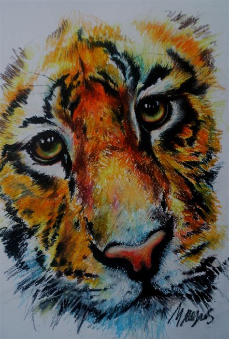 Michelle Myers Art Tiger Oil Pastel Study Oil Pastel Drawings