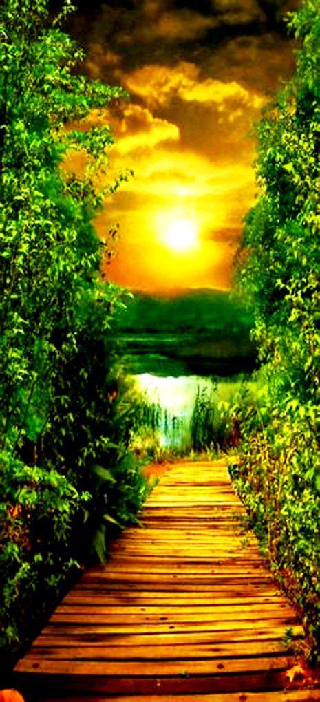 Peaceful Pathway Sunset Landscape Beautiful Landscapes Nature