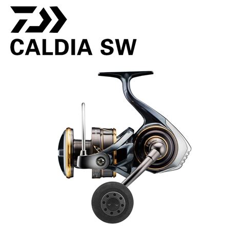 DAIWA 2022 NEW CALDIA SW Original Spinning Fishing Reel 4000 18000