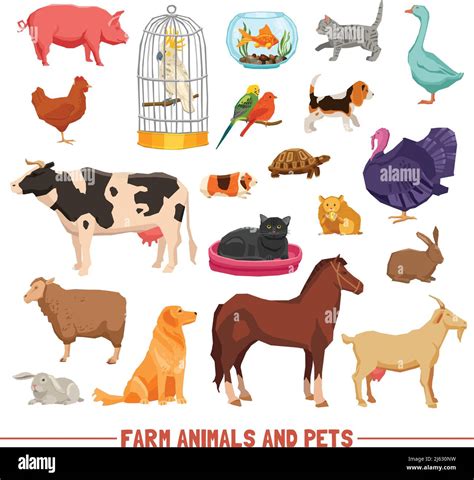 Big And Small Farm Animals Birds And Home Pets On White Background Flat