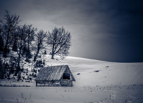 겨울 눈 자연 · Pixabay의 무료 사진